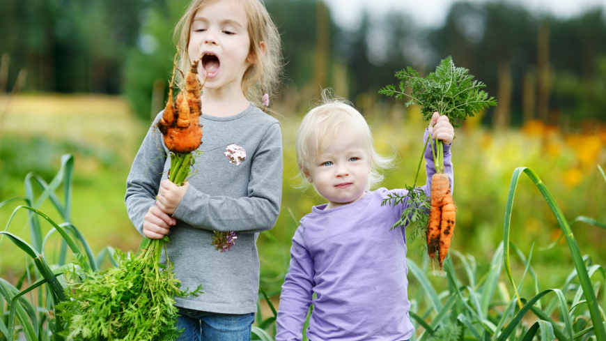 Det är svårare att introducera nya smaker efter två års ålder. Foto: Shutterstock